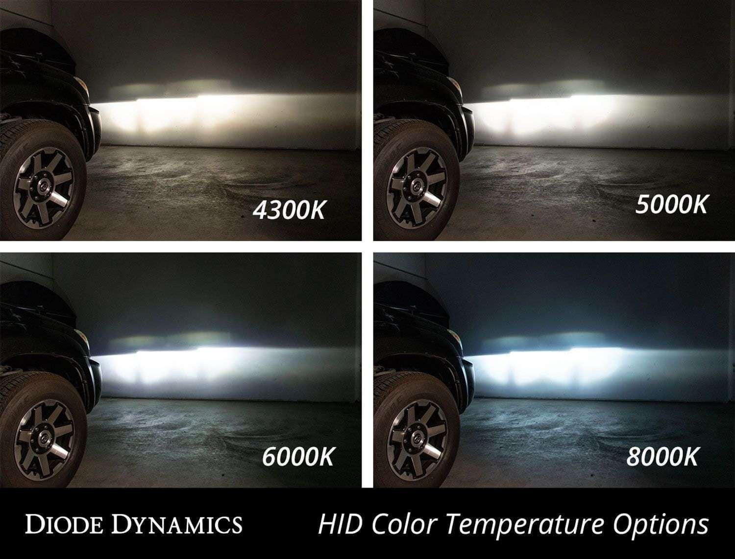 Diode Dynamics Replacement D2R HID Bulbs (pair)