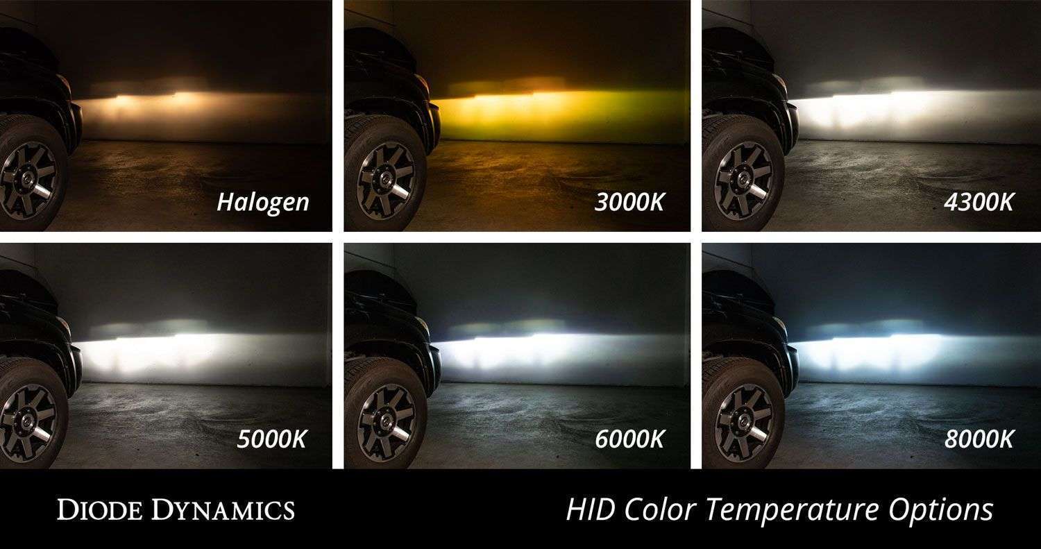 Diode Dynamics Replacement D2H HID Bulbs (pair)