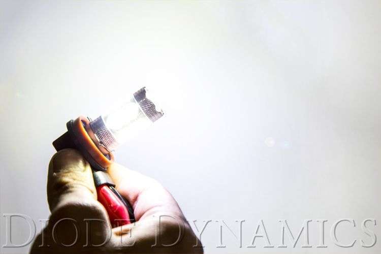 Diode Dynamics H8 XP80 LED Bulbs