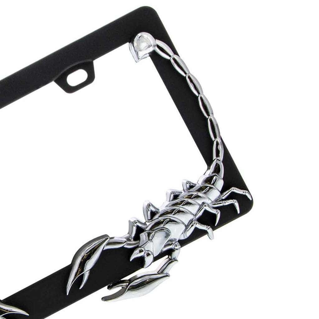 Scorpion License Plate Frame 3 Scorpion License Plate Frame