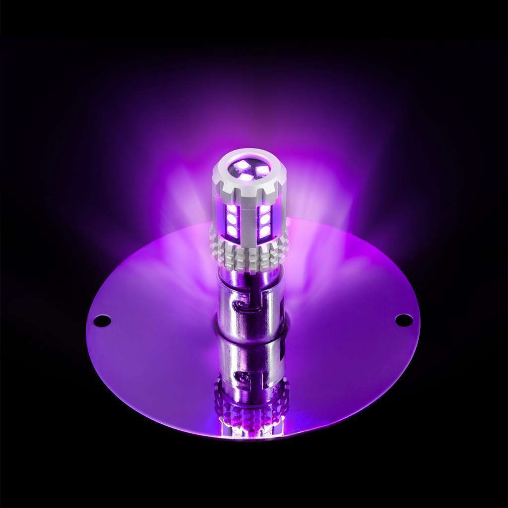 Ultraburst Glass Watermelon Flush Mount Kit – Purple Led/Clear Lens 5 UltraBurst Glass Watermelon Flush Mount Kit – Purple LED/Clear Lens