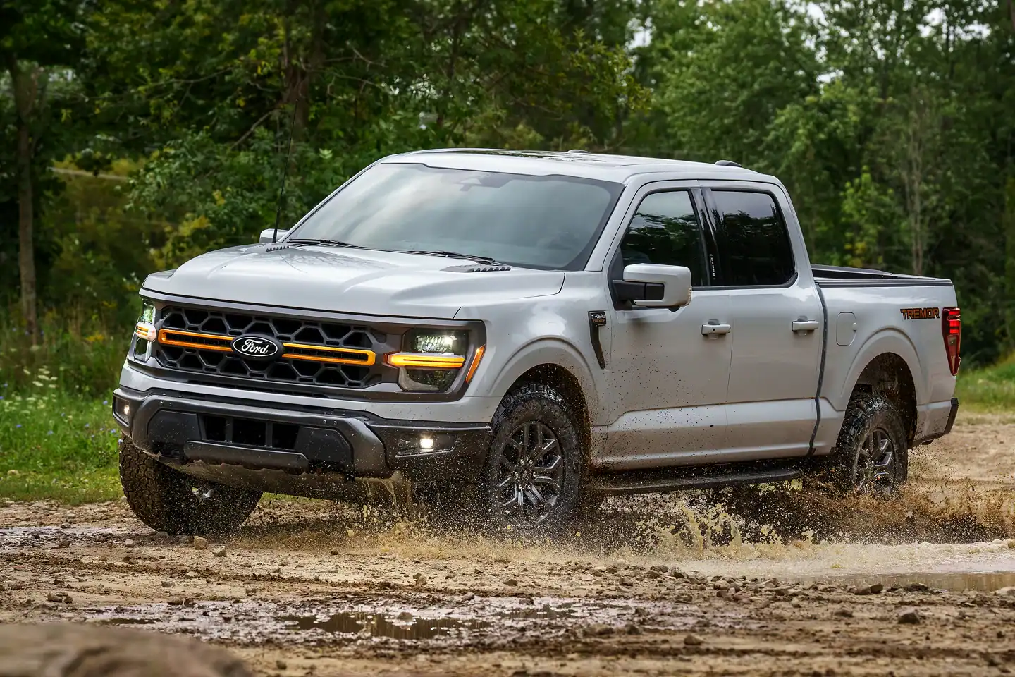 Ford F150
