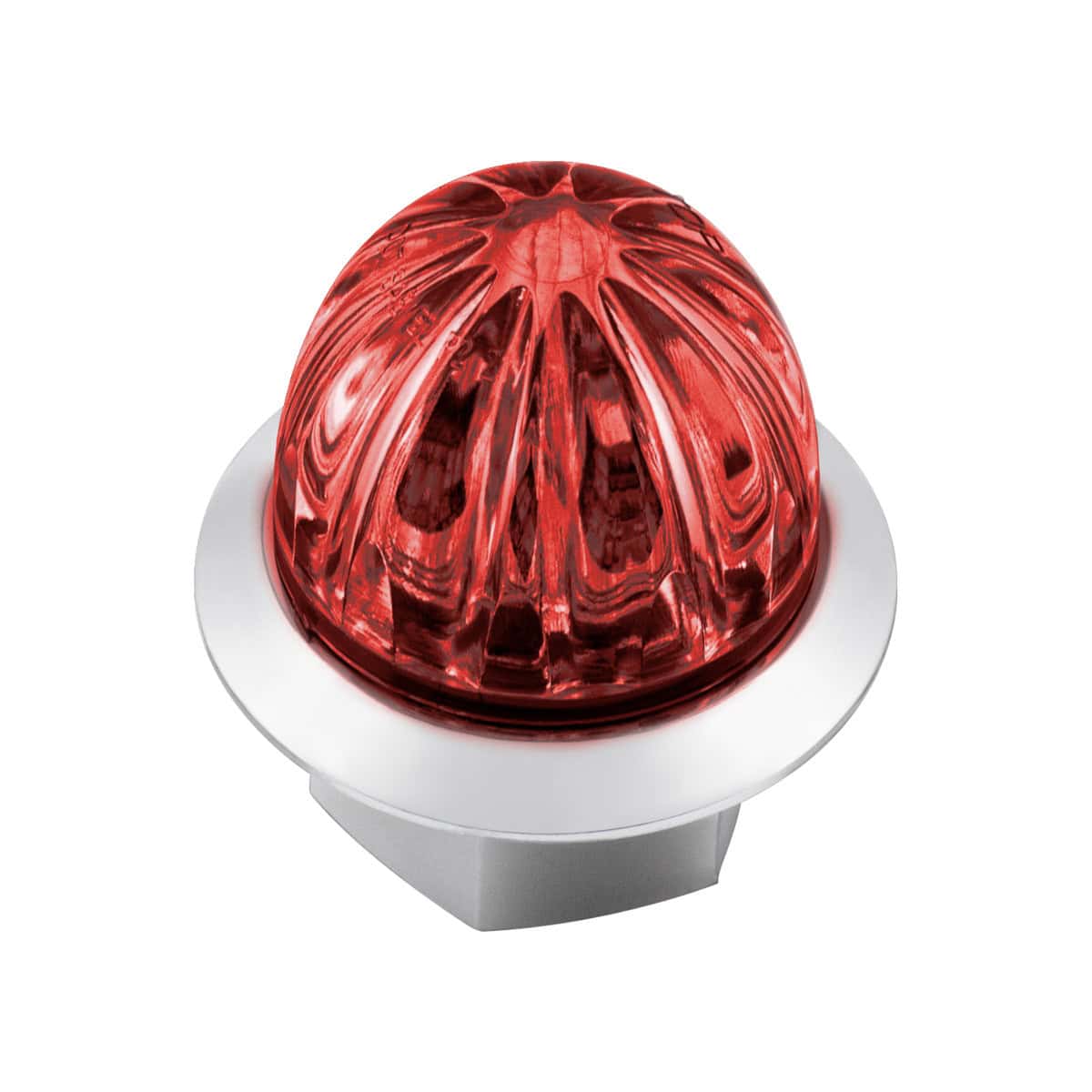 Double Fury 4 LED Dual Function Watermelon Light – Red & Purple