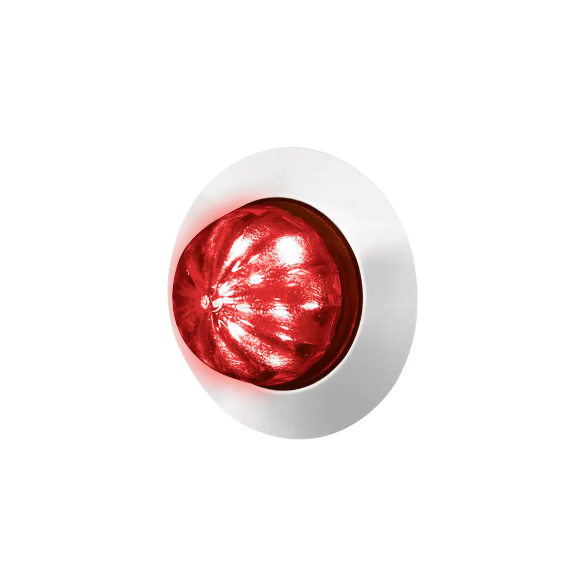 6 LED Dual Function Watermelon Light w/Stainless Steel Bezel - Red