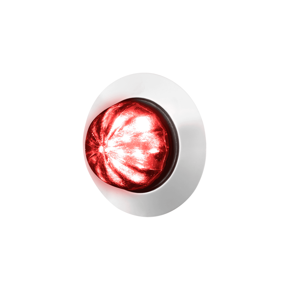 6 LED Dual Function Watermelon Light w/Stainless Steel Bezel - Red/Clear