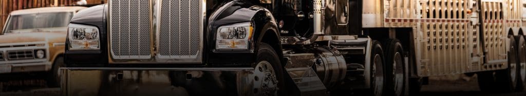 Kenworth Bulb Size Guide 4 Kenworth W990 Banner