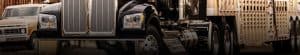 Kenworth W990 Banner
