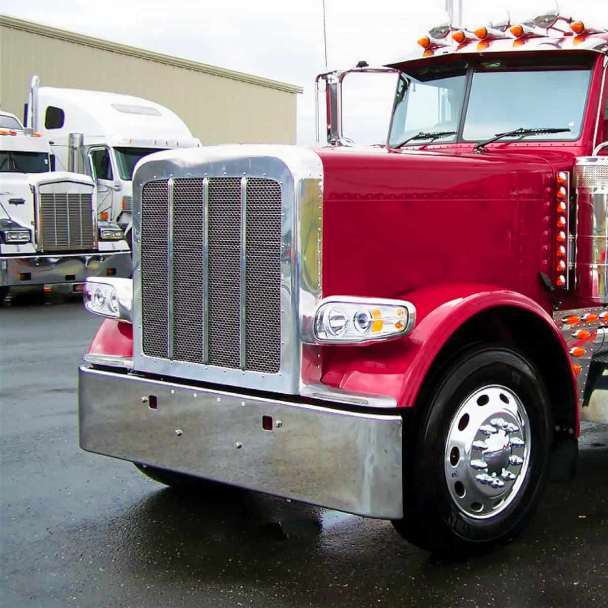 Peterbilt 389 14 Led Fender Covers – Clear 9 Peterbilt 389 14 LED Fender Covers – Clear