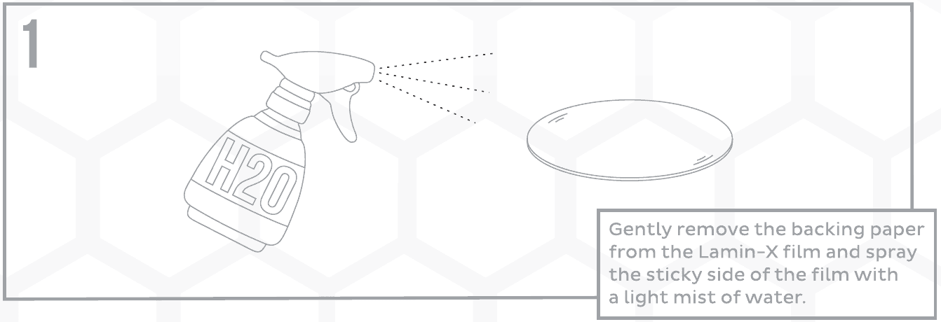 Lamin-X F-150 Evo Headlight Film Application Guide 2 Original diagram 1: remove the backing and lightly mist the adhesive. Generic round-lens technique; this illustration does not show the F-150 film cut.