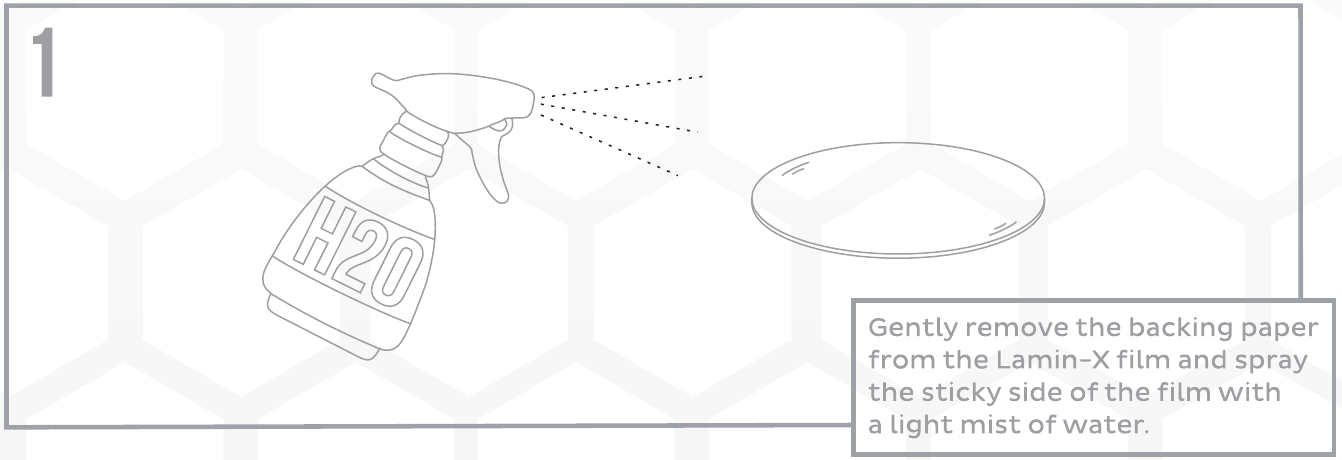 4Runner Xb Evo Clear Film Application Guide 2 Original Lamin-X diagram 1: general round-lens application, not the 4Runner film shape.