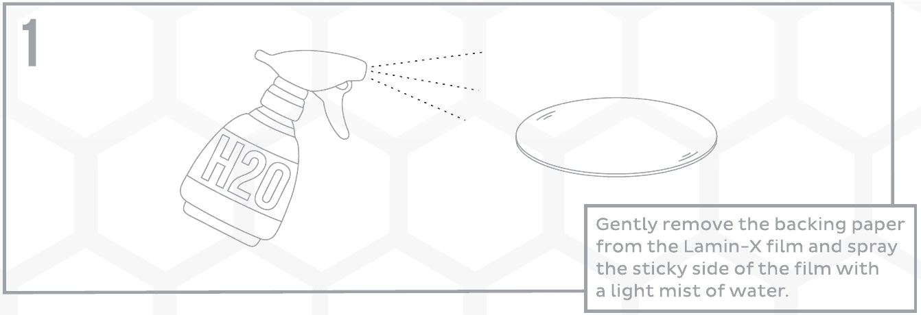 Lamin-X Film Installation For Tacoma Morimoto Xb Evo / Hybrid Headlights 2 Original diagram 1: remove the backing and lightly mist the adhesive. Generic round-lens technique; this illustration does not show the Tacoma film cut.
